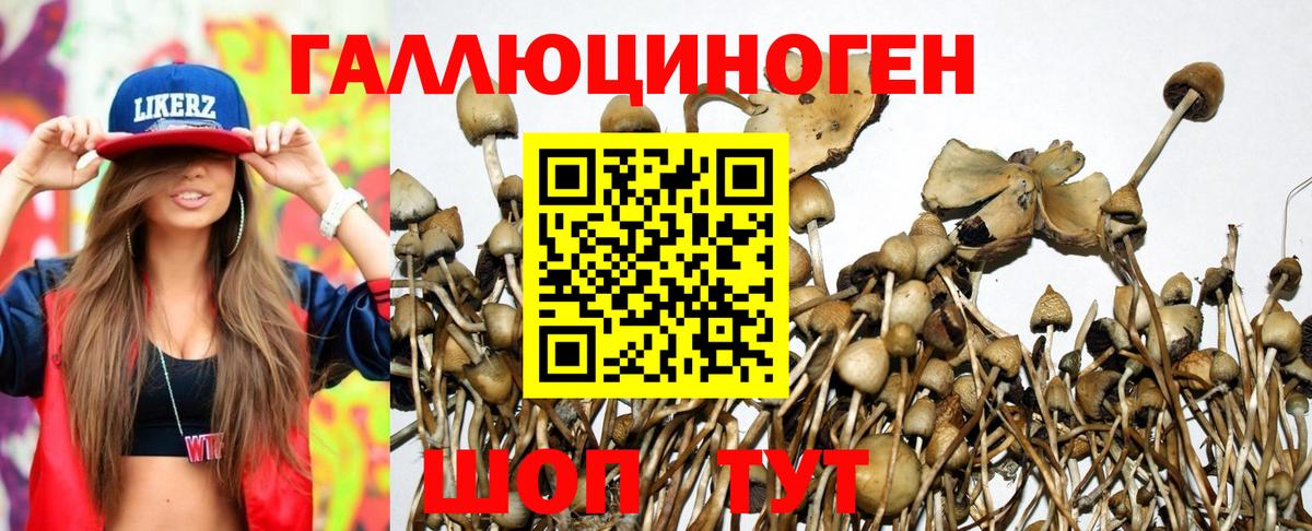 Галлюциногенные грибы MAGIC MUSHROOMS Малоярославец