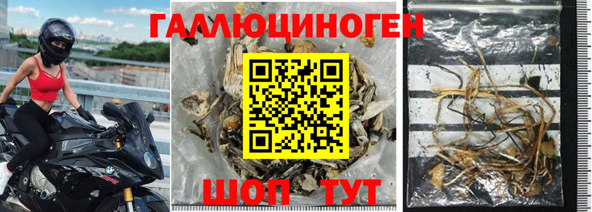 Галлюциногенные грибы мухоморы  Галлюциногенные грибы Psilocybe  Вход с VPN  Малоярославец 